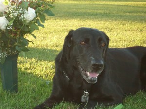 Miss Ellie Aug 20 2005
